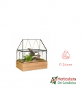 TERRARIO TWO SMALL