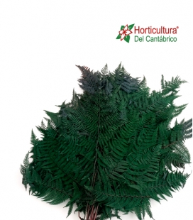 BRACKEN FERN 10 PC MOSS GREEN