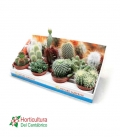 CACTUS M105