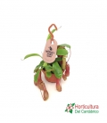 NEPENTHES M14